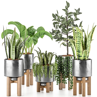  Lush Greenery Indoor Plant Set 3D model image 1 