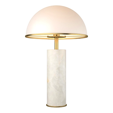 Elegant Vaneta Table Lamp 3D model image 1 