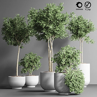 Indoor Plant Collection 13: Elegant Greenery for your Home 3D model image 1 