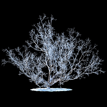 Winter Wonderland Apple Tree 3D model image 1 