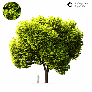 2014 Landscape Tree 18м 3D model image 1 