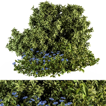 Blue Blooms Bush Set - 53 Varieties 3D model image 1 