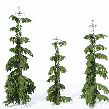 Rothenhaus Norway Spruce: Realistic Texture - 2.5m, 3m, or 3.5m 3D model image 1 