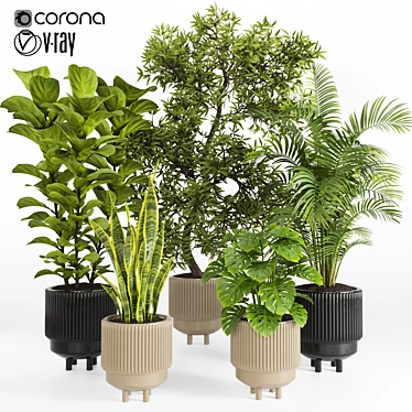 Tropical Houseplants in Stone Pots 3D model image 1 