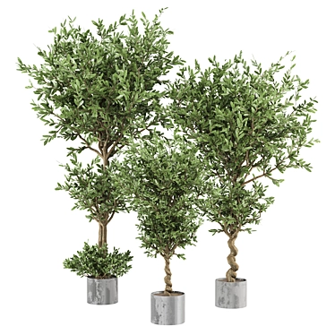 Ferm Living Bau Pot Large - Set 165: Stylish Indoor Plants 3D model image 1 