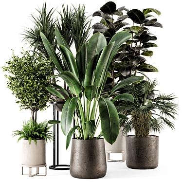 Ferm Living Bau Pot Large - Set 388 3D model image 1 