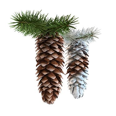 Evergreen Elegance: Spruce Cones & Branches 3D model image 1 