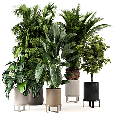 Ferm Living Bau Pot Large - Set of Indoor Plants 3D model image 1 