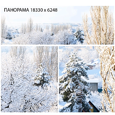 Winter panorama. View from the window.