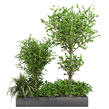 Beautiful Outdoor Plant Collection 3D model image 1 