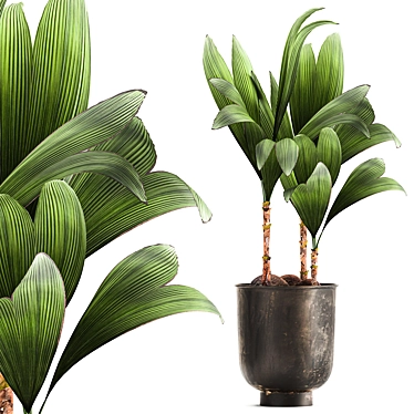 Tropical Loft Plant Collection 3D model image 1 