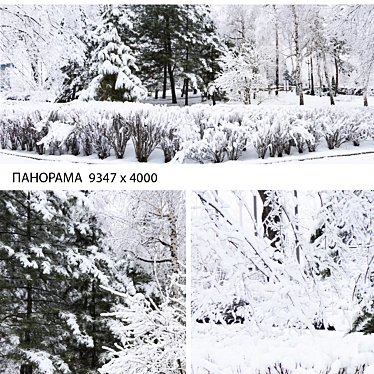Winter Wonderland: Park Panorama 3D model image 1 