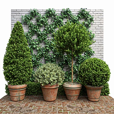 Natural Greenery Set: Boxwood, Dogwood, Ivy 3D model image 1 