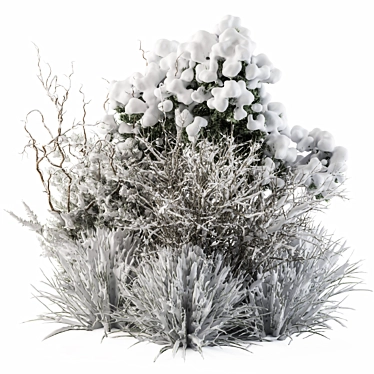 Snowy Dried Plant Bush - Set of 60 3D model image 1 
