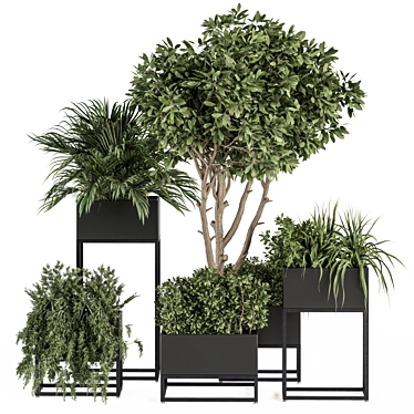 Stylish Black Box Plant Set 3D model image 1 