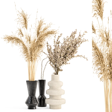 Everlasting Beauty: Dry Plants Bouquet Collection 3D model image 1 