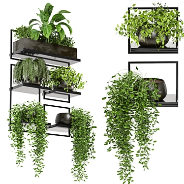 Rustic Indoor Plant Set 173 3D model image 1 