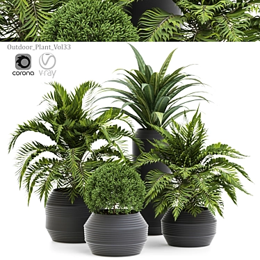 Versatile Outdoor Plant Design 3D model image 1 