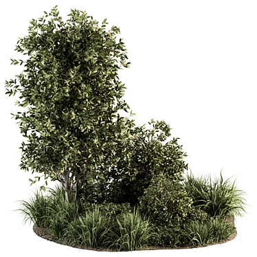 Outdoor Greenery Set 3D model image 1 