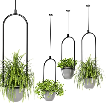 Hanging Plants Set for Indoor Décor 3D model image 1 