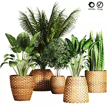 20 Indoor Plant Collection 3D model image 1 