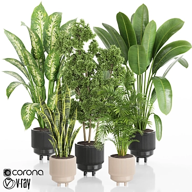 Tropical Plant Set: Ornamental Exotics for Indoor & Outdoor Use 3D model image 1 