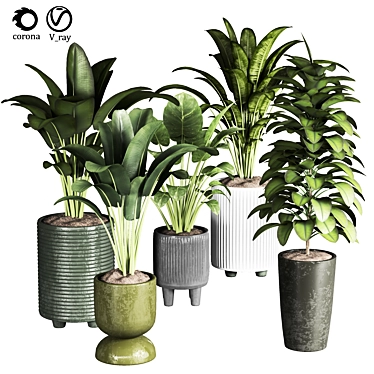 Indoor Plant Collection: 22 Varieties 3D model image 1 