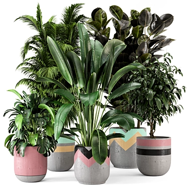 Rustic Concrete Pot Indoor Plants Set 3D model image 1 
