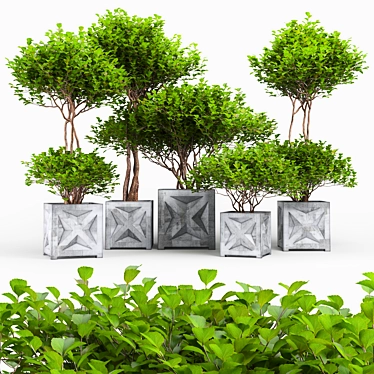 Exotic Bush: High-quality 3D Model 3D model image 1 