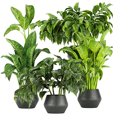 Greenery Delight: Indoor Aglaonema Leaf Collection 3D model image 1 