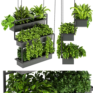 Hanging Indoor Ampelous Plant - Collection Vol. 295 3D model image 1 
