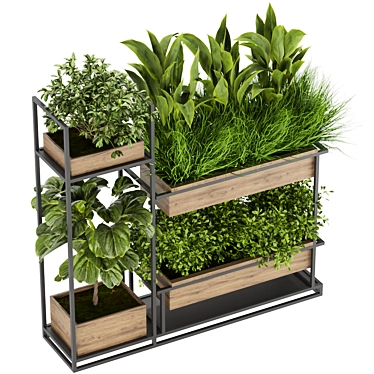 Leafy Elegance: Collection Plant Vol 296 3D model image 1 