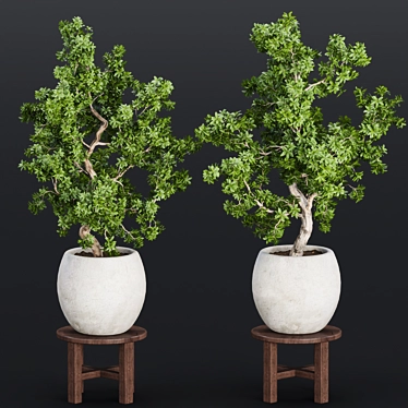 Indoor Greenery Collection Vol. 63 3D model image 1 