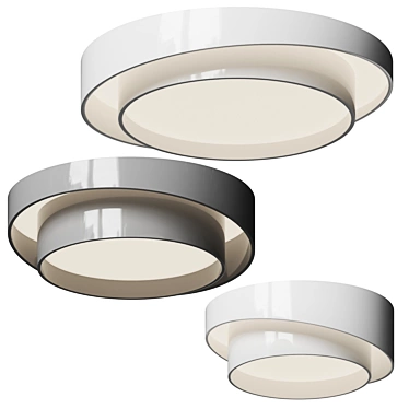 Winton Acrylic Ceiling Light 3D model image 1 