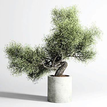 Concrete Bonsai Vase - Outdoor Plant Pot 3D model image 1 
