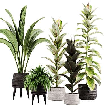 Green Oasis Indoor Plant Set 3D model image 1 