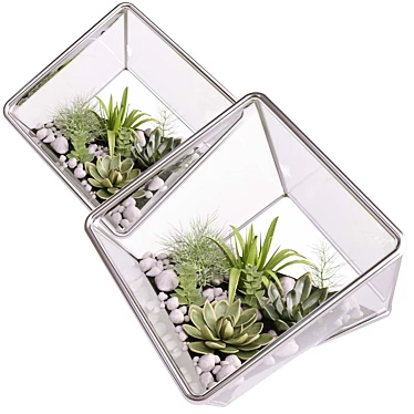 Modern Cube Florarium Kit 3D model image 1 