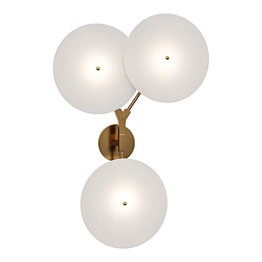 Porcelain Disc Wall Lamp: Lindsey Adelman Branching 3D model image 1 