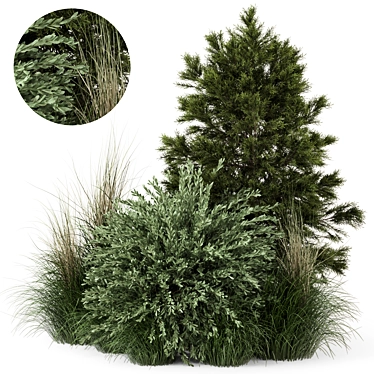 2015 Outdoor Plants Bush Set 3D model image 1 