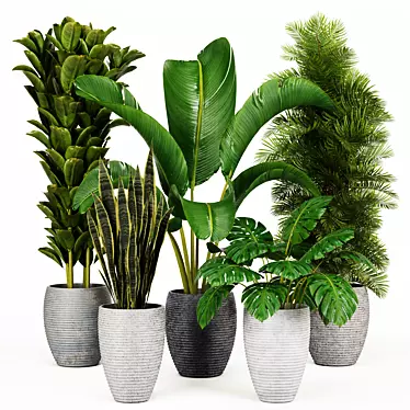 Indoor Green Oasis: High-Quality Plant Collection 3D model image 1 