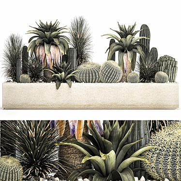 Tropical Plant Collection in Concrete Pots 3D model image 1 