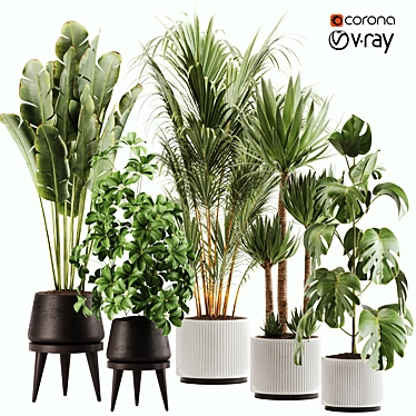 Green Oasis Indoor Plant Set 3D model image 1 