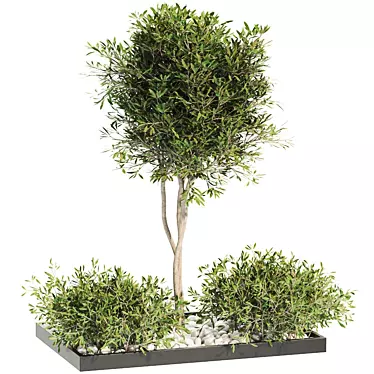 Premium Plant Collection 3D model image 1 