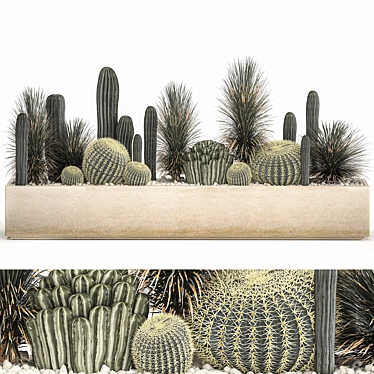 Tropical Plant Collection Exotic Decor 3D model image 1 