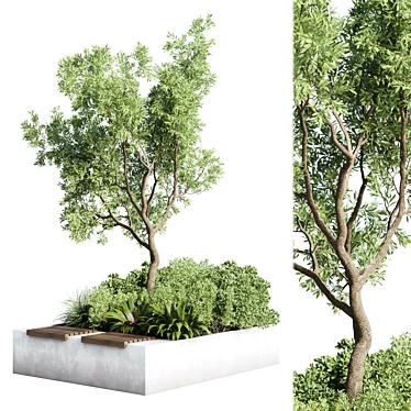 Urban Green Benches - Tree Collection 3D model image 1 