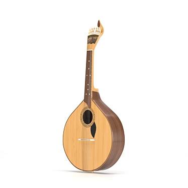 Portuguese guitar (Guitarra portuguesa)