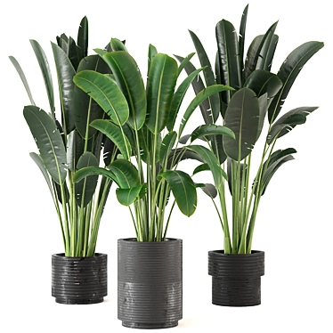Indoor Greenery Collection - Set 201 3D model image 1 