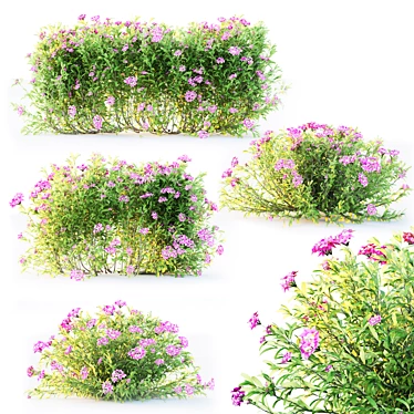 Versatile Plant Training Tool 3D model image 1 