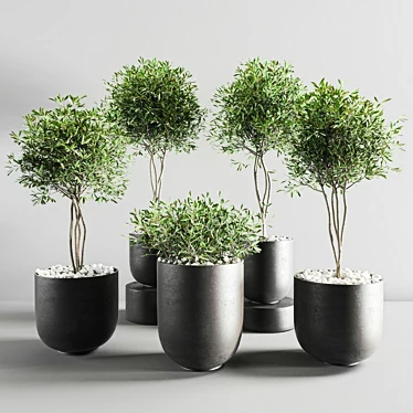 ProPlants: Optimal Collection 3D model image 1 