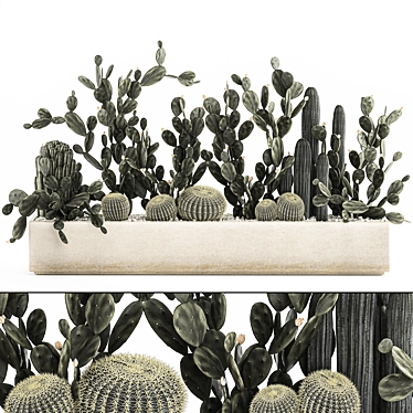 Exotic Cactus Collection 3D model image 1 
